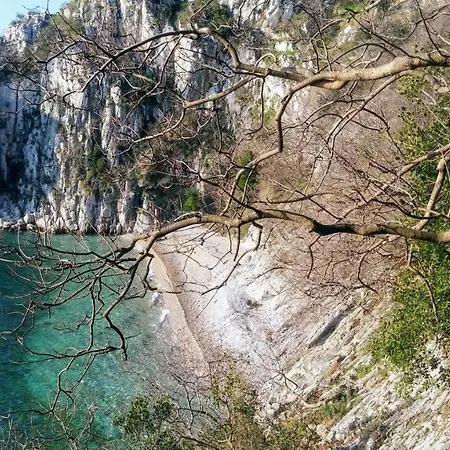Aurora 3* Duino